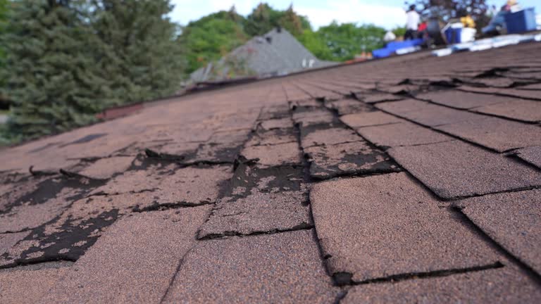 Steel Roofing in Bellefonte, PA